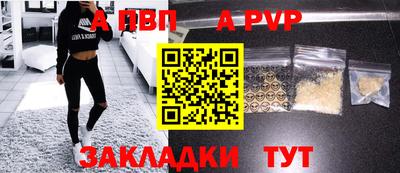 стаф Тара